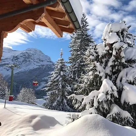 Le Madrier * Les Diablerets