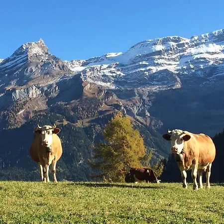 Le Madrier Les Diablerets