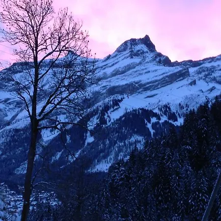 Le Madrier Couette-café Les Diablerets