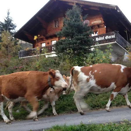 Le Madrier Couette-café Les Diablerets