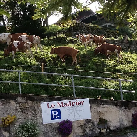 Le Madrier * Les Diablerets