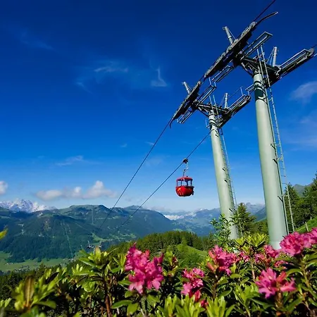 Le Madrier *