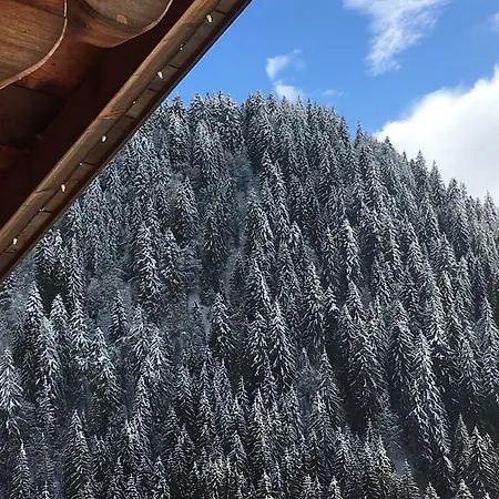 Le Madrier Les Diablerets