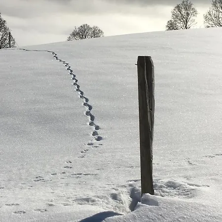 Le Madrier Les Diablerets